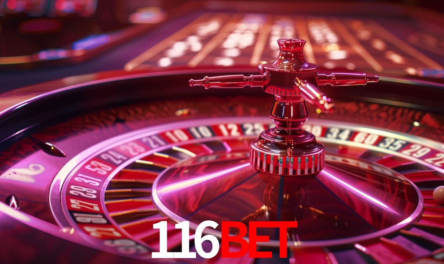 A Experiência Imersiva dos Cassinos Ao Vivo no 116bet